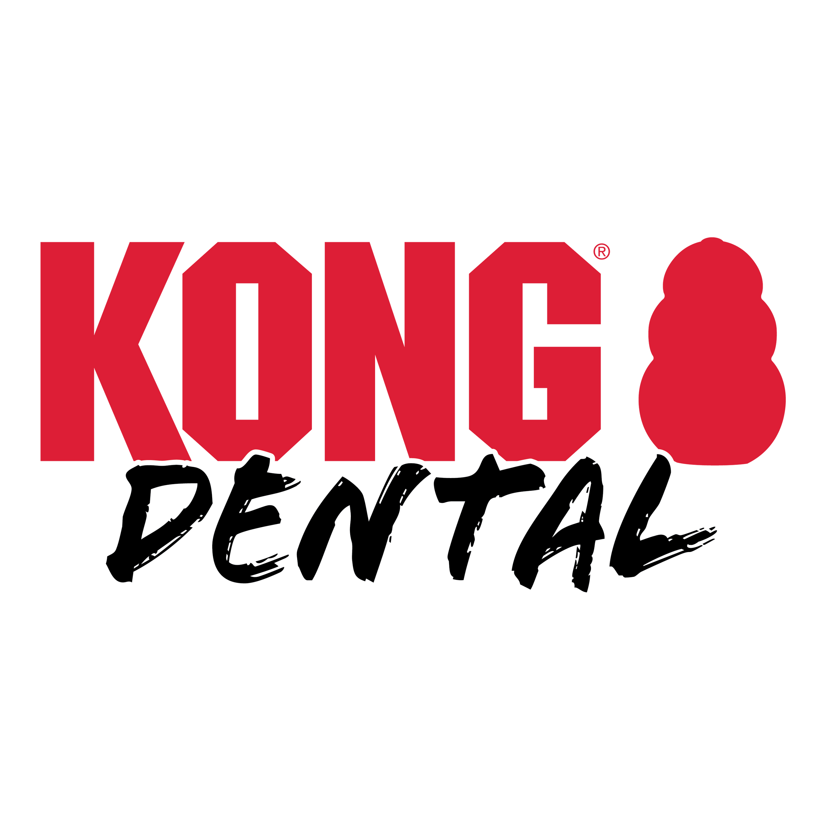 KONG EXTREME DENTAL WITH ROPE