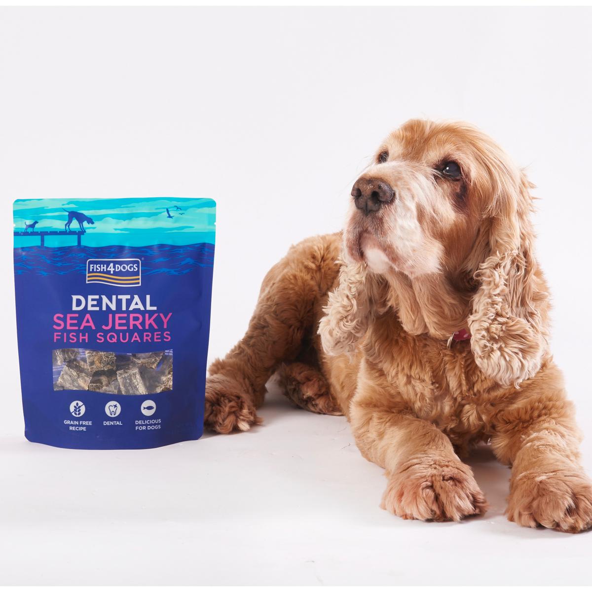 Fish4Dogs Dental Snack Sea Jerky Fish Squares