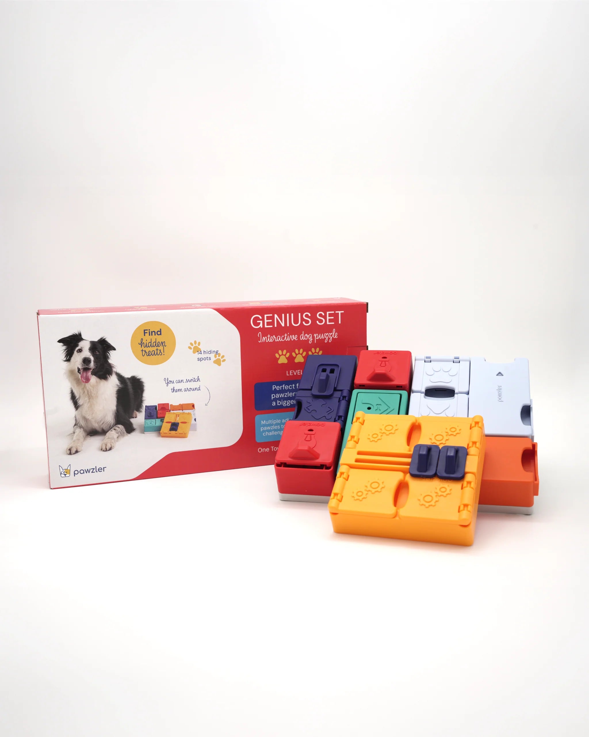 Puzzle Genius - PAWZLER