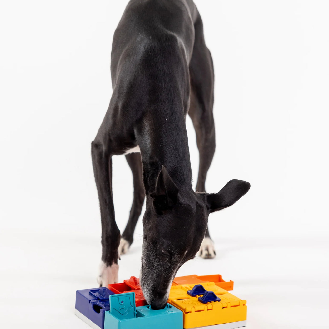 Puzzle Genius - PAWZLER