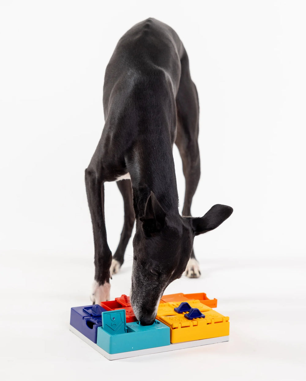 Puzzle Genius - PAWZLER