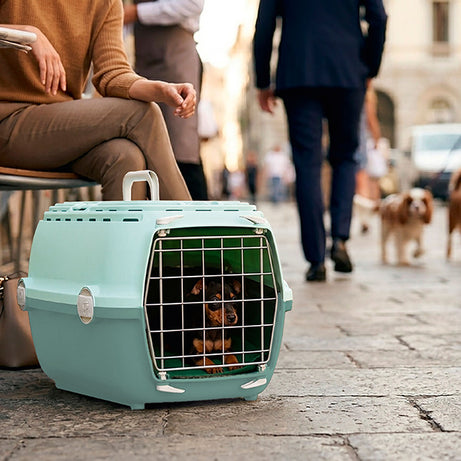 Transportadora Horizon para Cães e Gatos até 5 kg