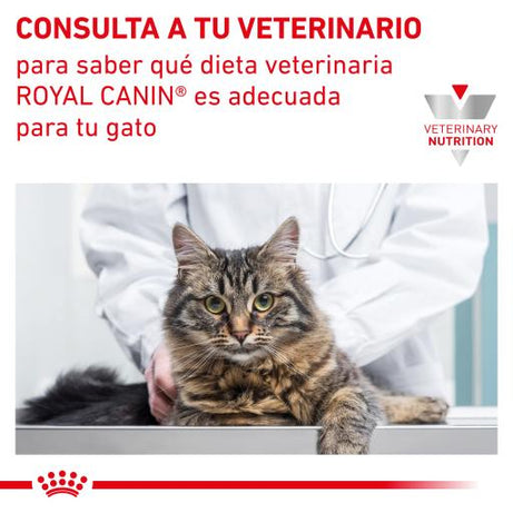 Royal Canin Cat Gastrointestinal