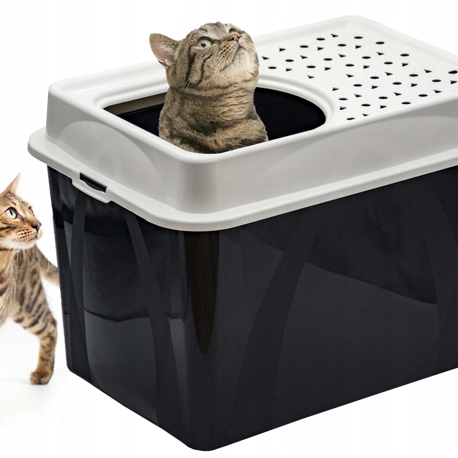 Rotho Eco Berty Enclosed Cat Litter Tray | Black