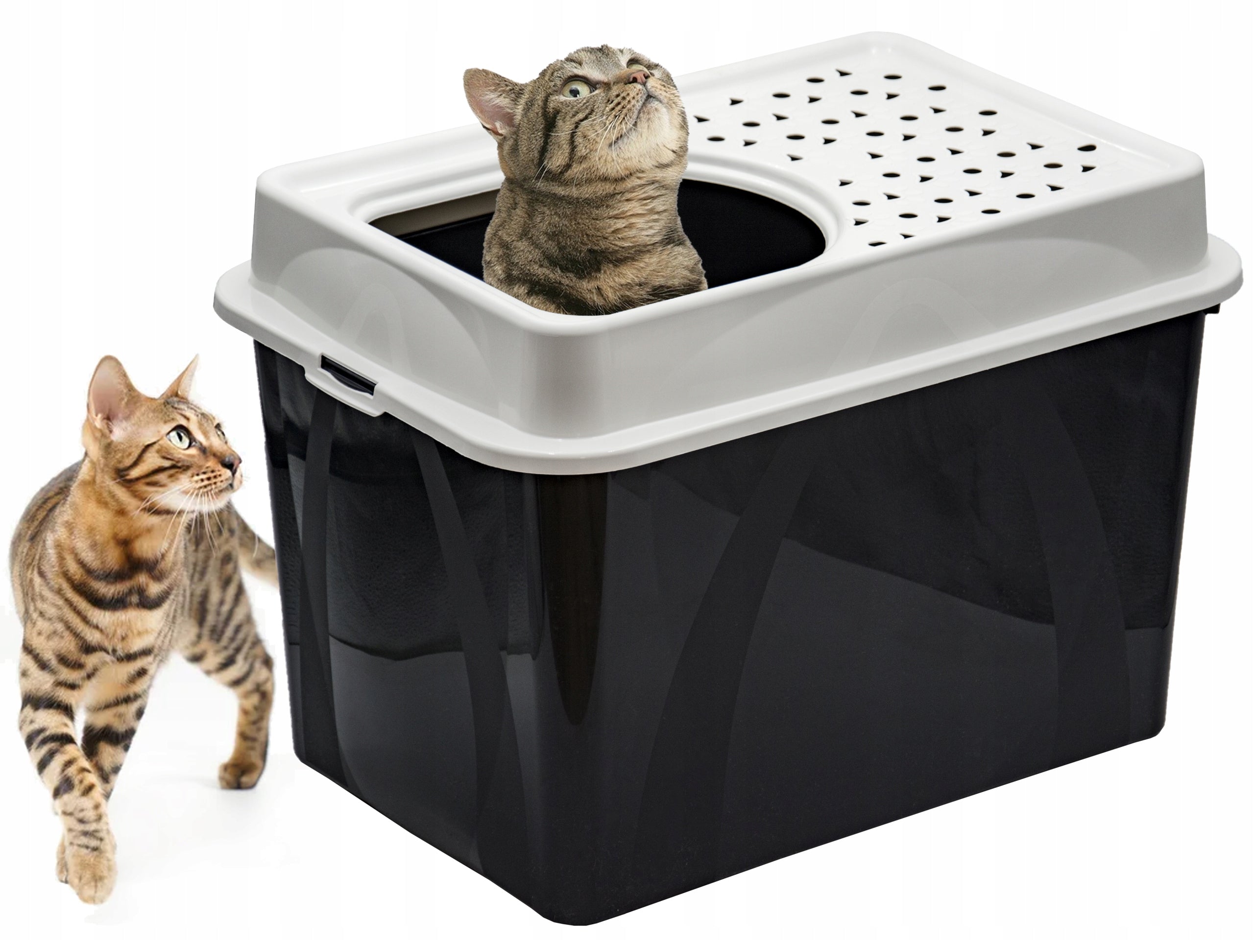 Rotho Eco Berty Enclosed Cat Litter Tray | Black