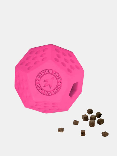 Kiwi Walker Bola Pink