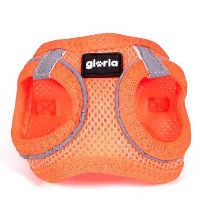 Peitoral GLORIA Trek Star para cão | Laranja