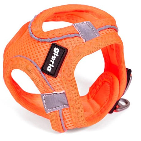 Peitoral GLORIA Trek Star para cão | Laranja