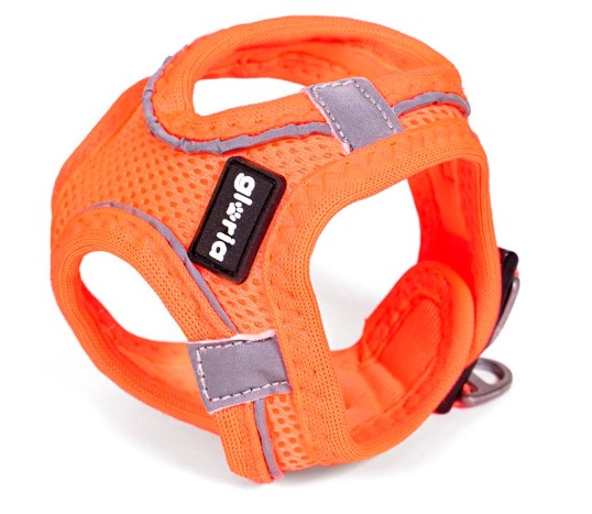 Peitoral GLORIA Trek Star para cão | Laranja