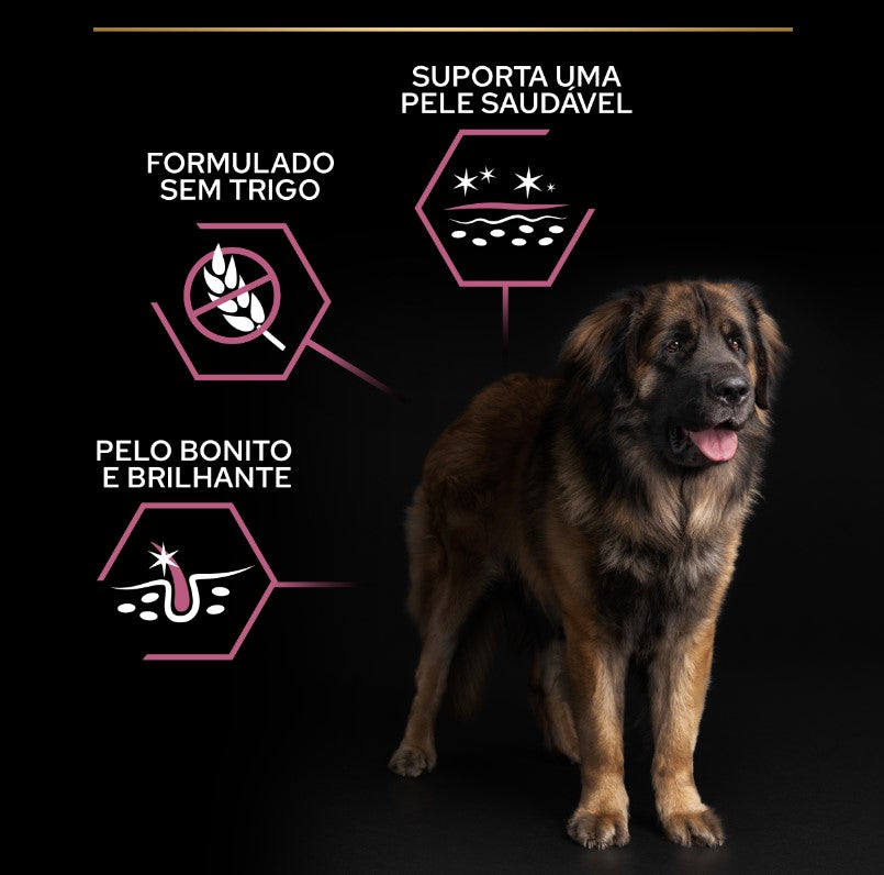 Pro Plan Dog OptiDerma Large Robust Adult Sensitive Skin | 14 kg - Ração seca para cão adulto grande e robusto com pele sensível - Salmão