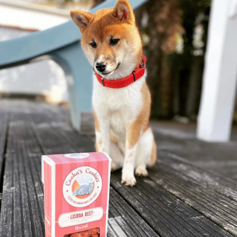 Cooka's Cookies Snacks - Lisboa Beet - para cães