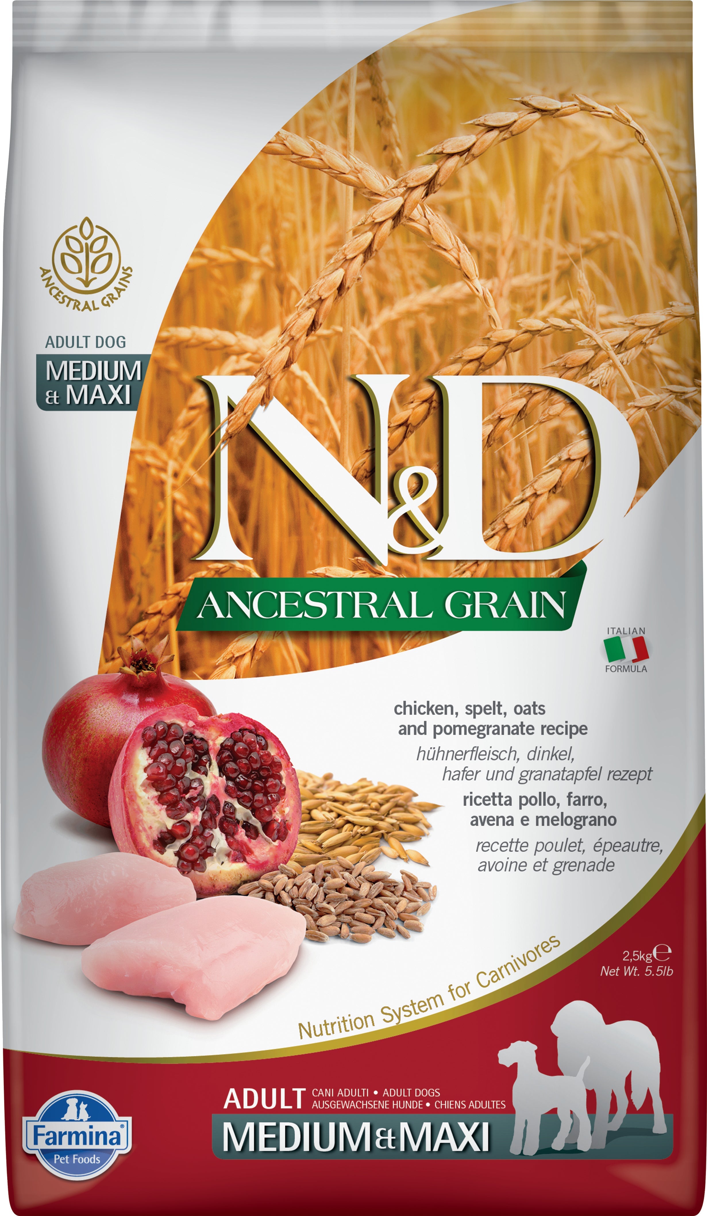 N&D Ancestral Grain Adult Dog Medium&Maxi Chicken&Pomegranate - DOGGIE STORE