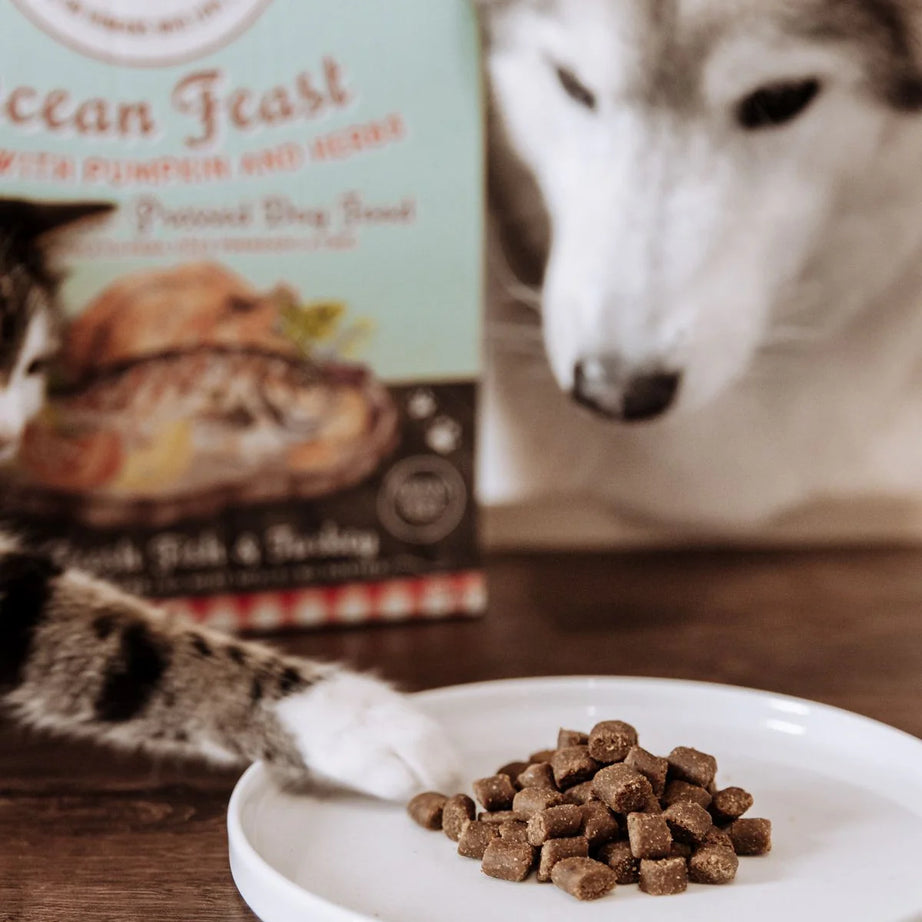 Cold-Pressed Country Roast, Ração seca para cães -  Peixe com Abóboras & Ervas