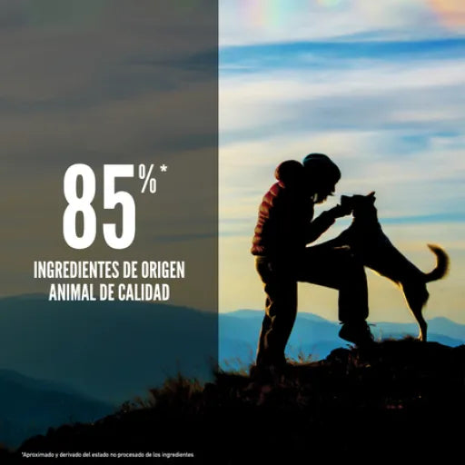 Orijen Original Adult Dog
