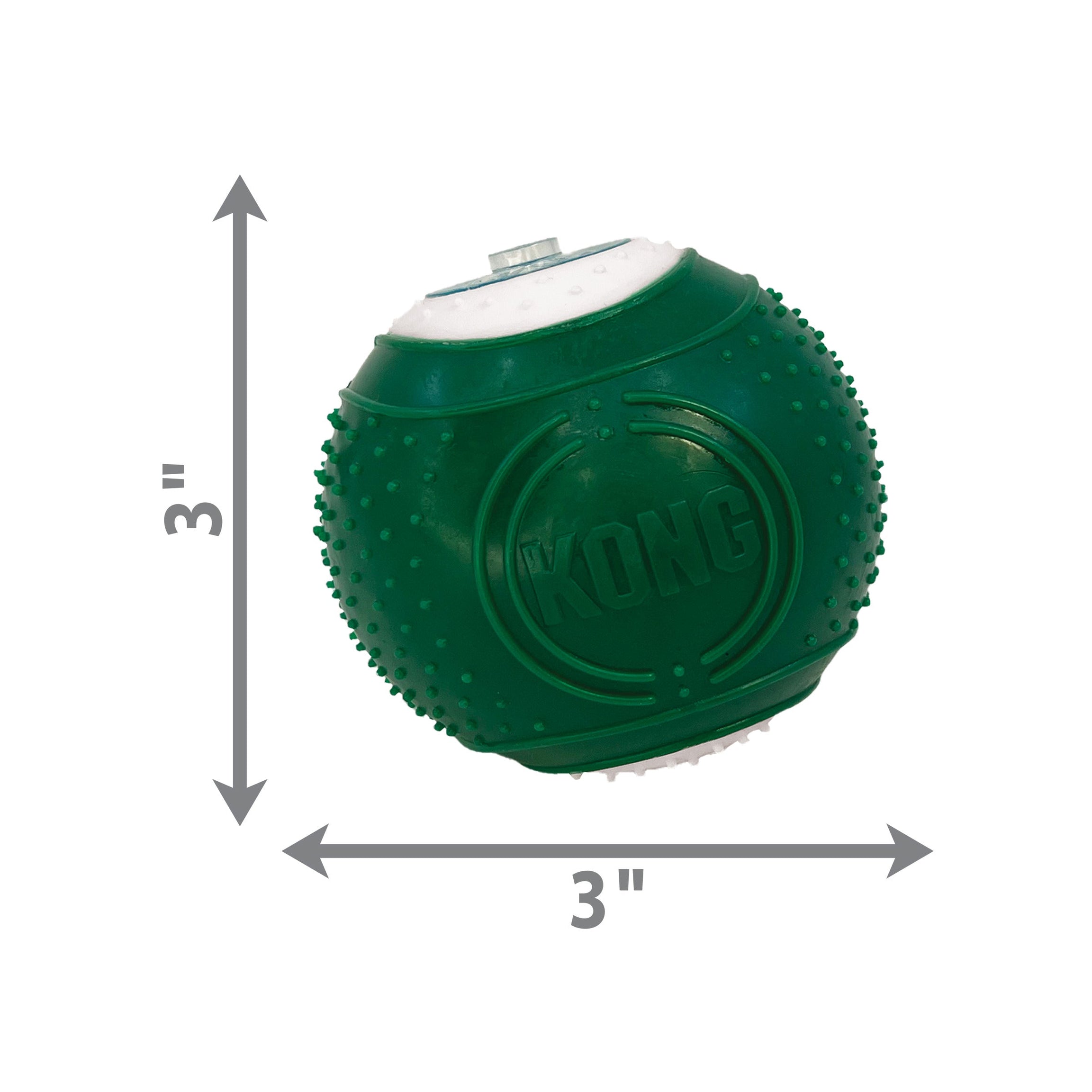 Kong Dental Kit