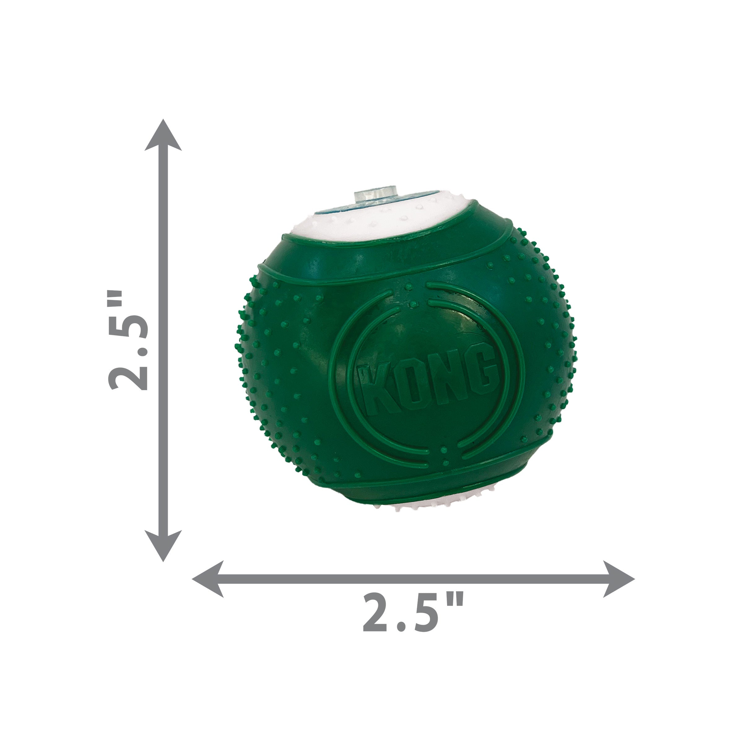 Kong Dental Kit