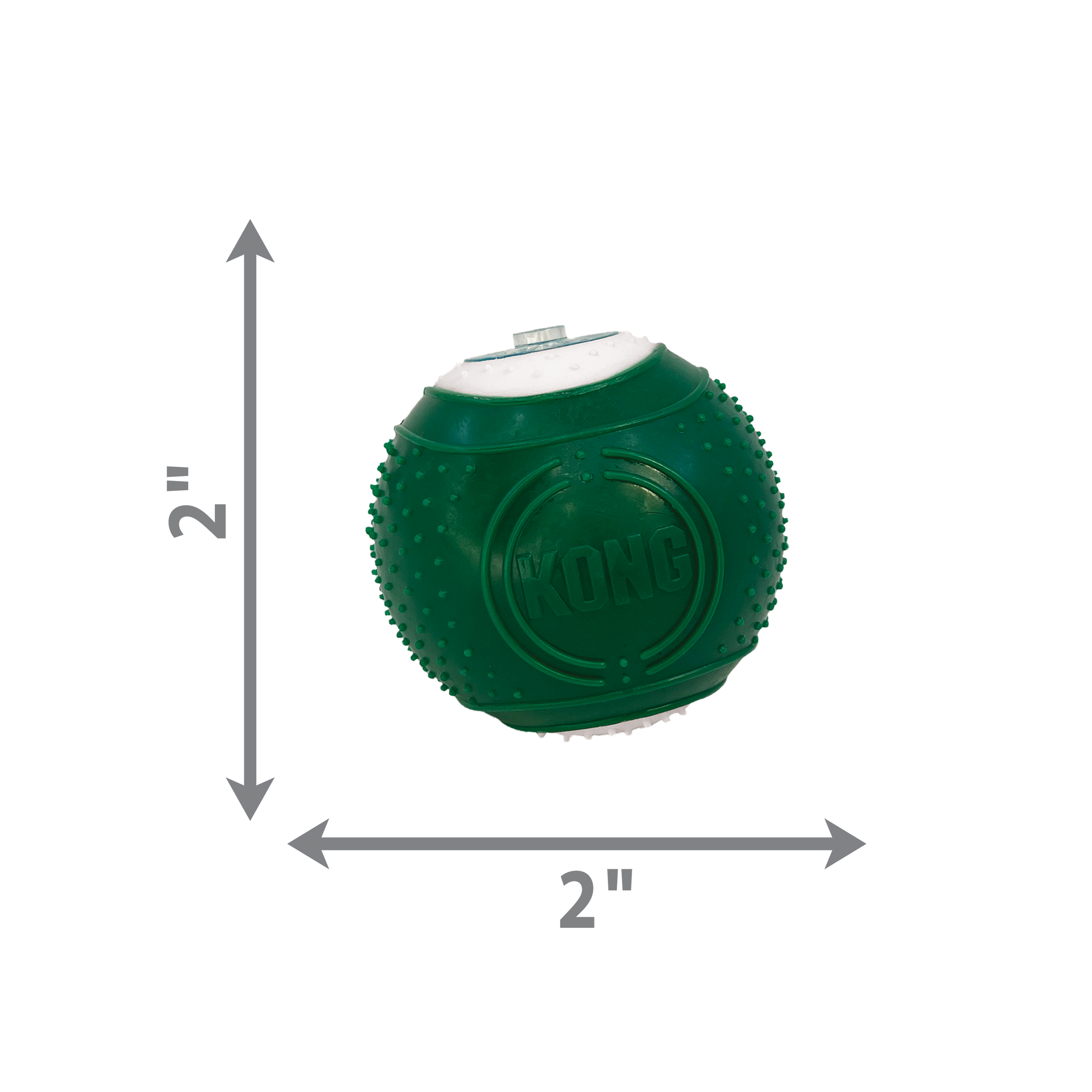 Kong Dental Kit