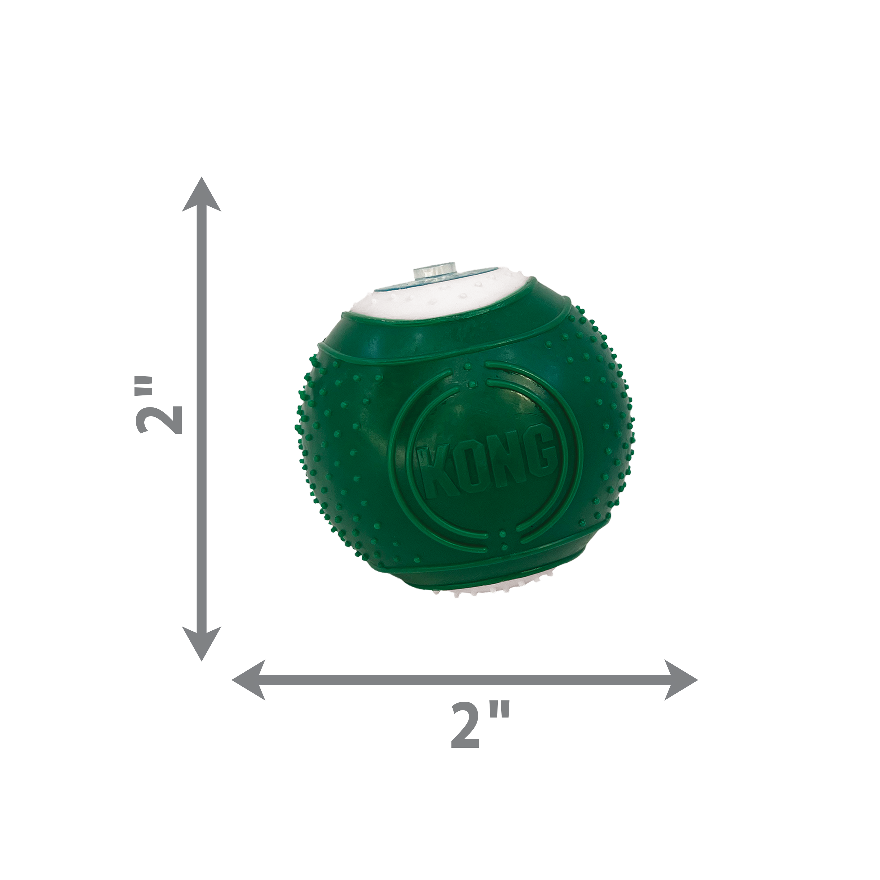 Kong Dental Kit