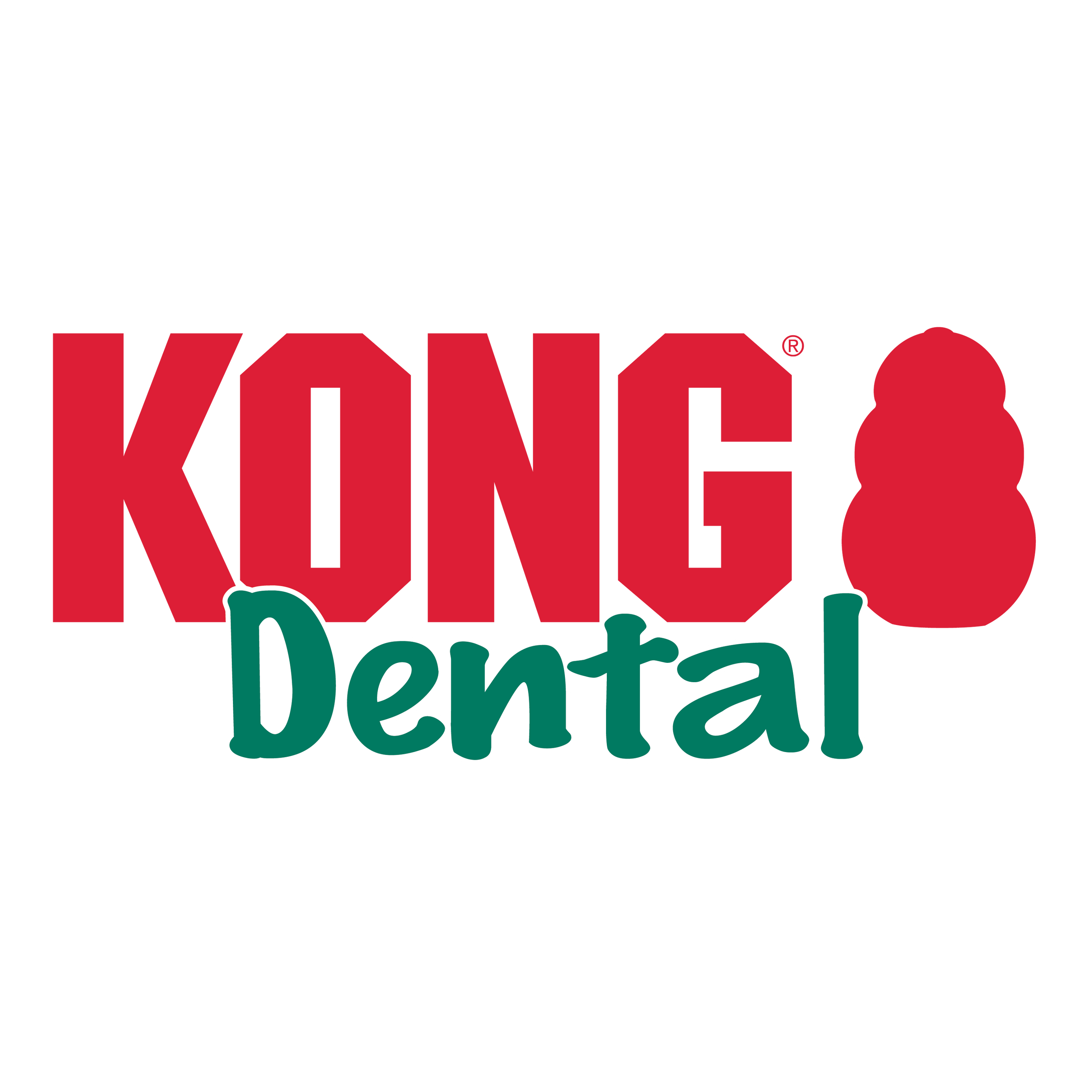 Kong Dental Kit