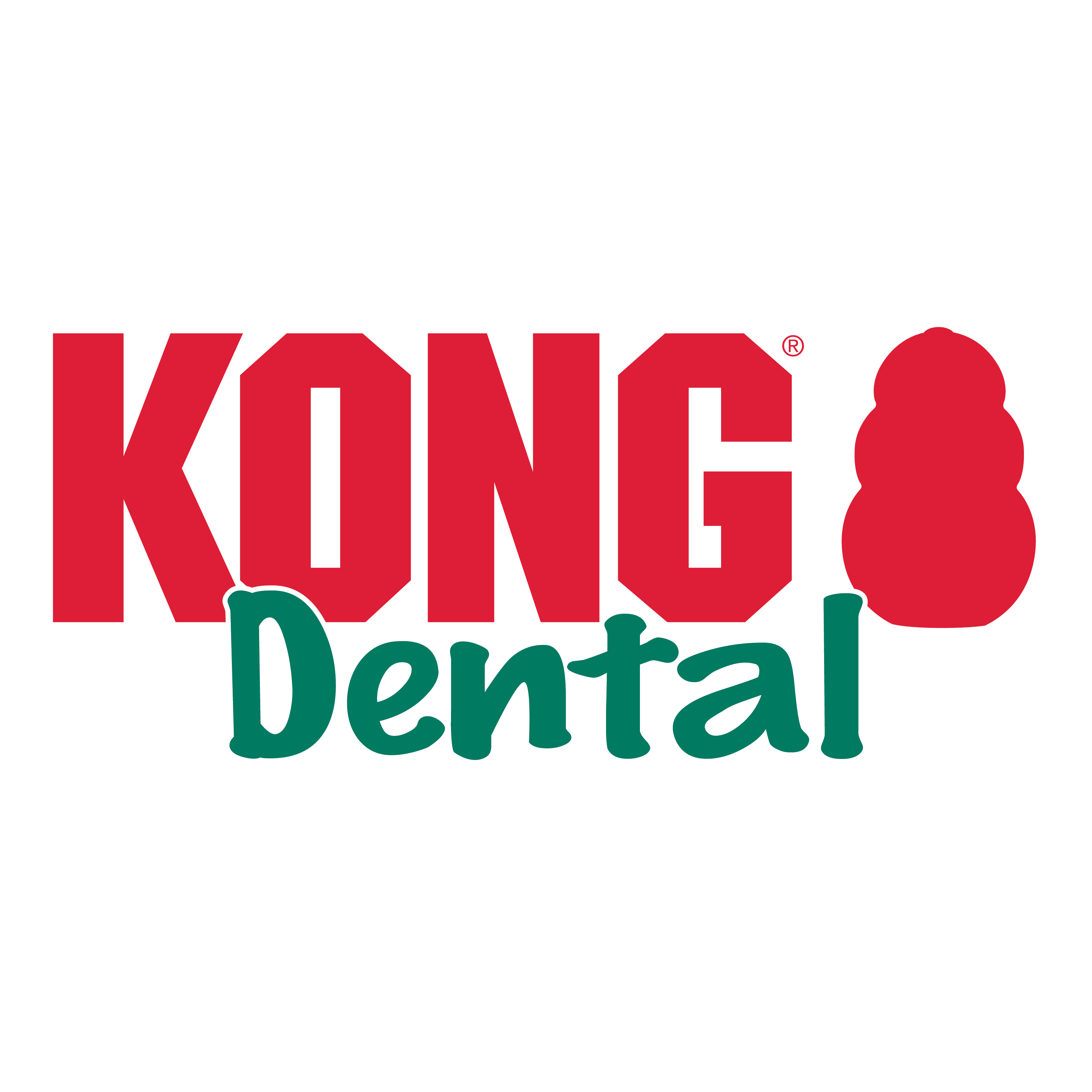 Kong Dental Kit