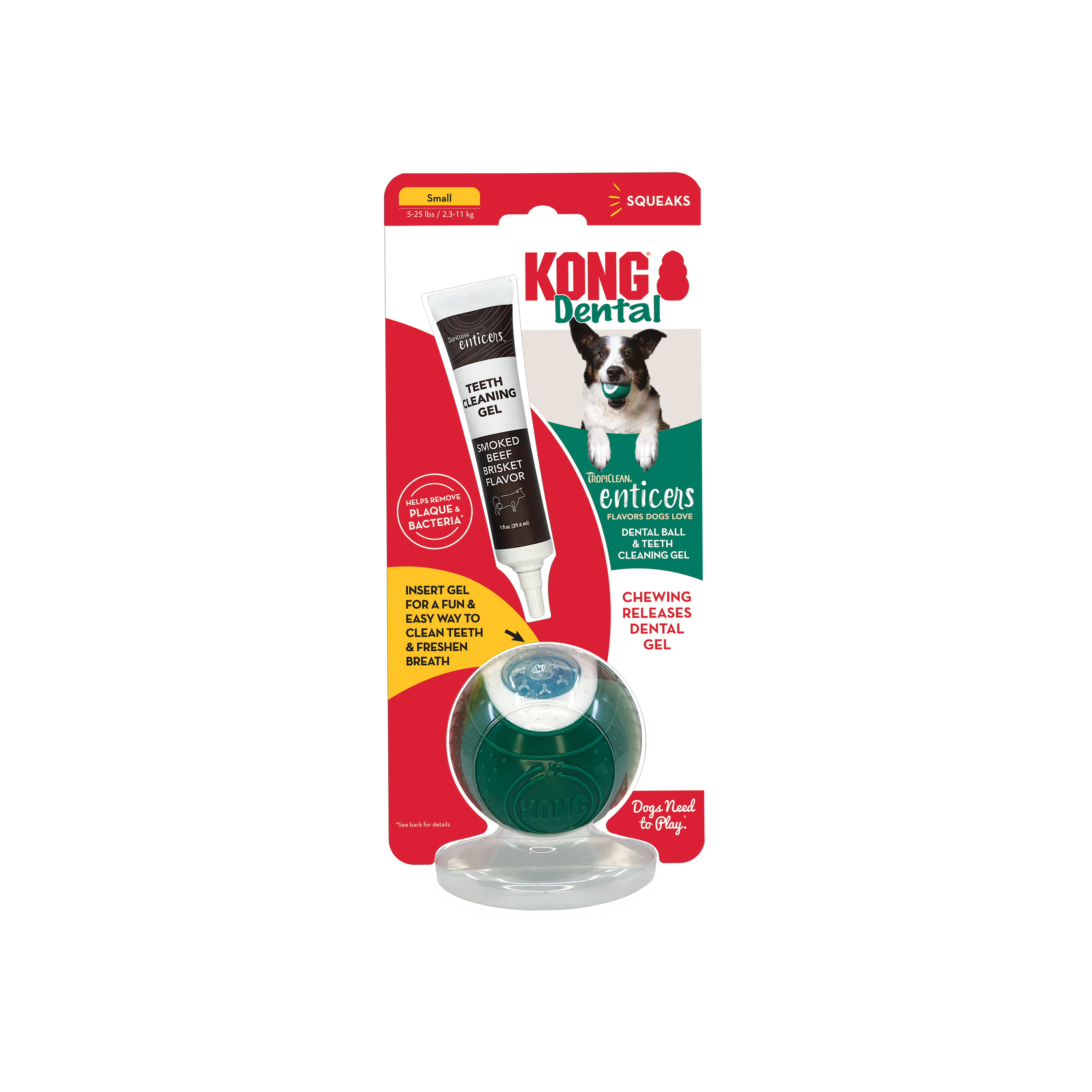 Kong Dental Kit