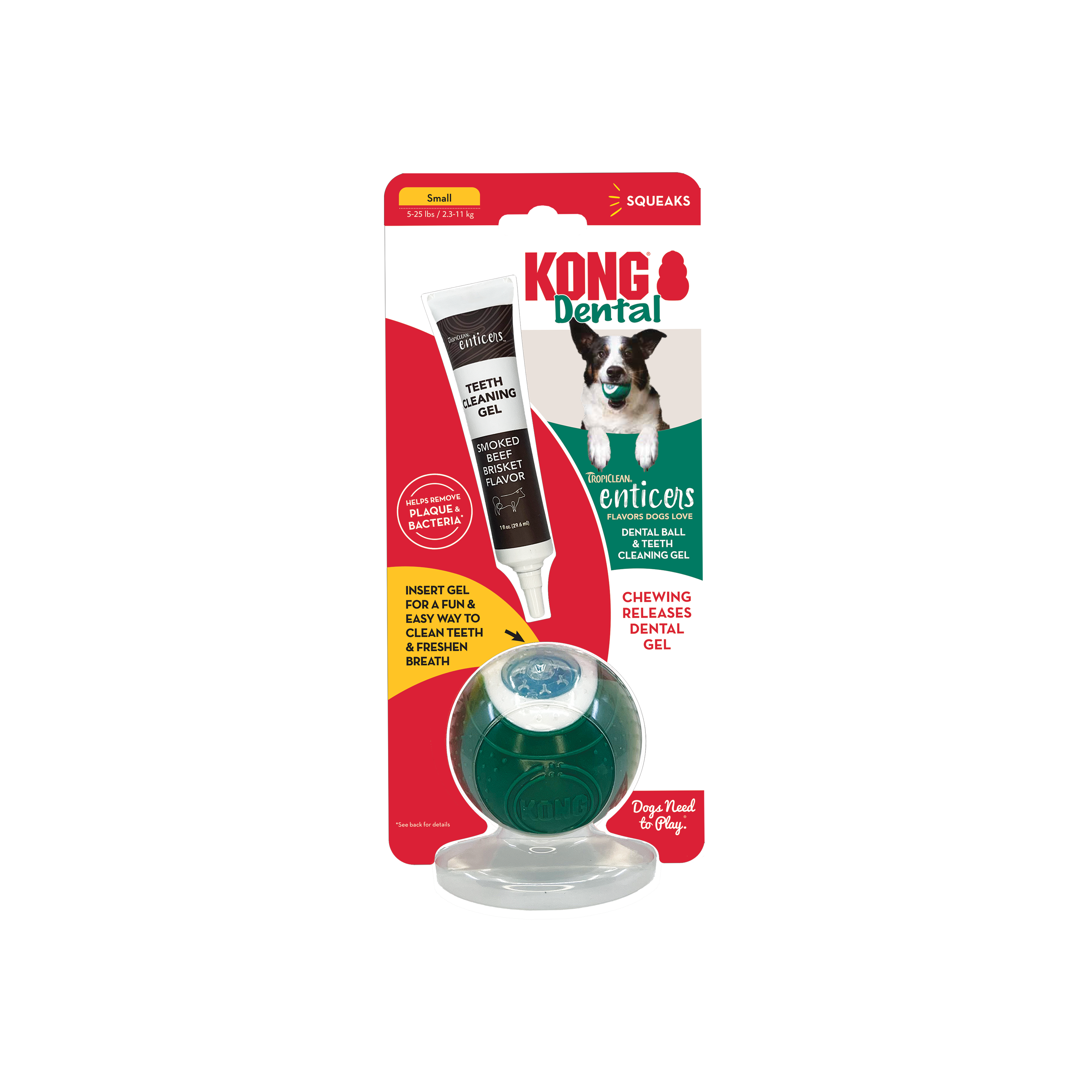 Kong Dental Kit