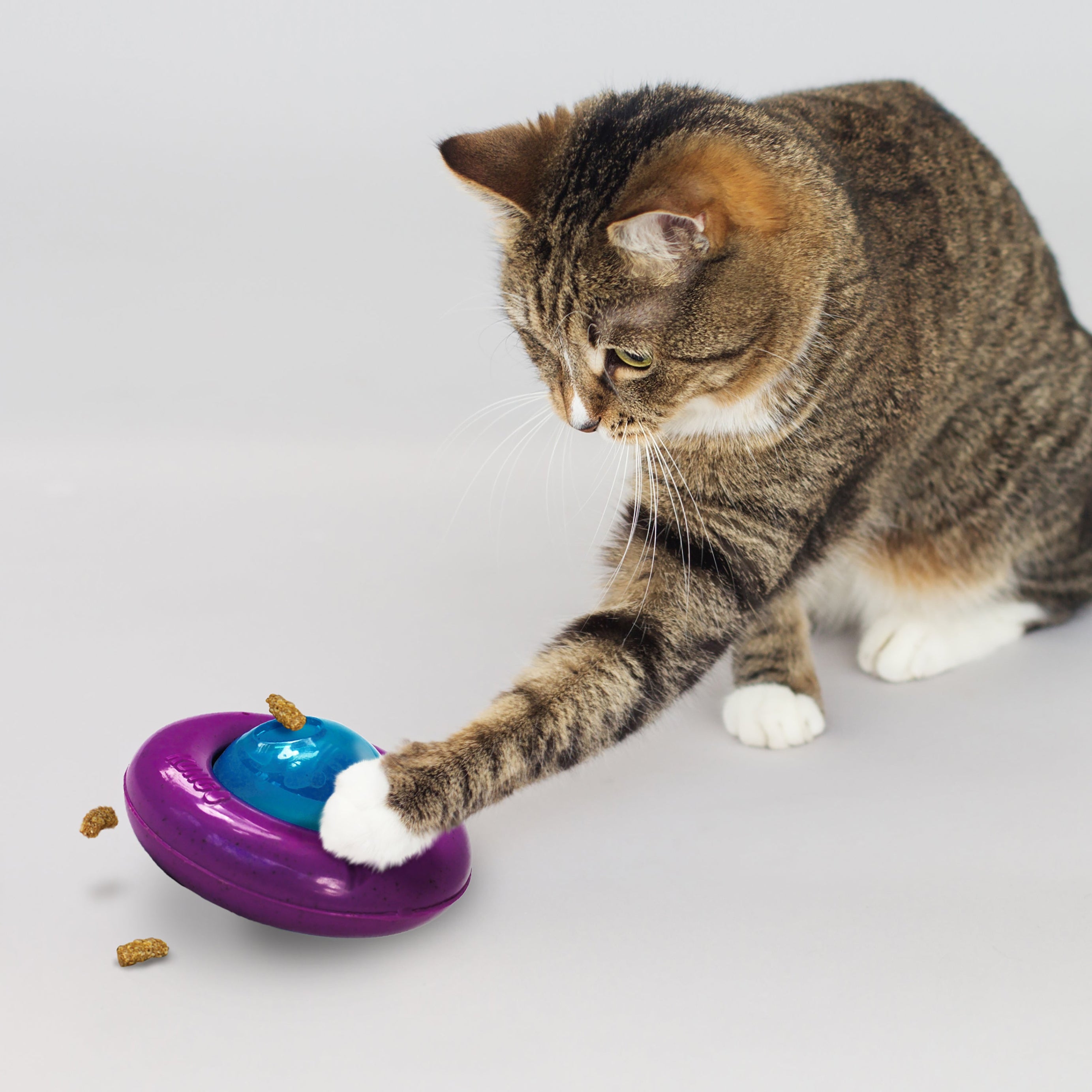 KONG INFUSED CAT GYROSCOPE