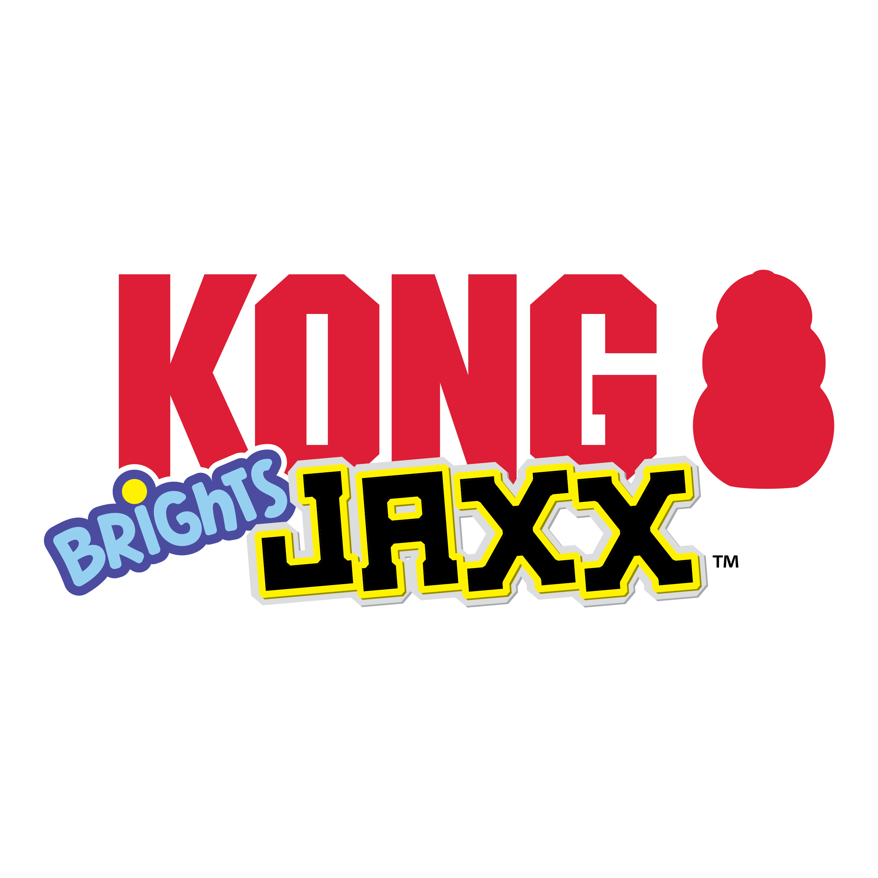 Kong Jaxx Brights Stick with Rope