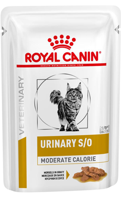 Royal Canin Vet Urinary S/O Moderate Calorie Feline | Wet (Saqueta) | 12 x 85 g