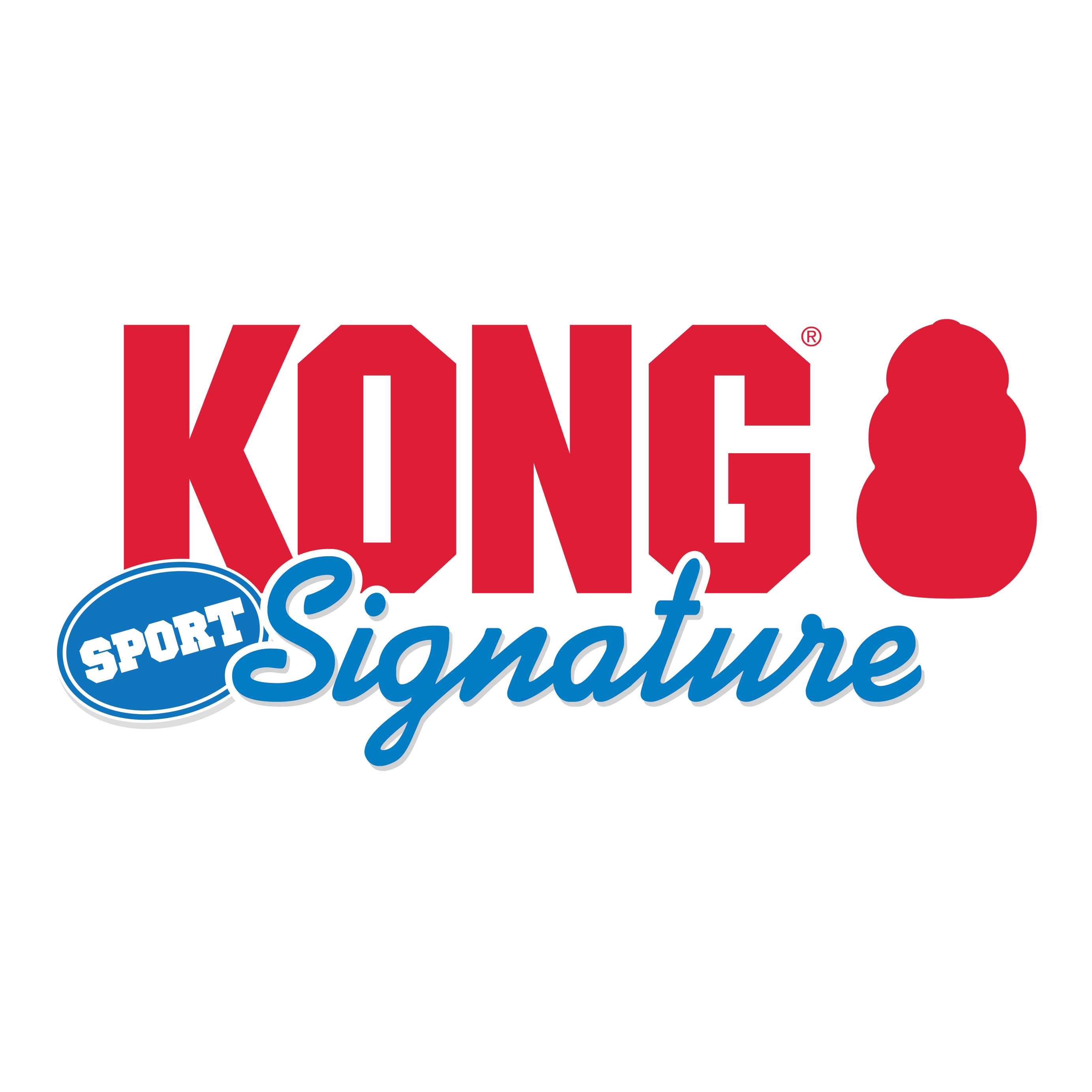 KONG Signature Sport Balls
