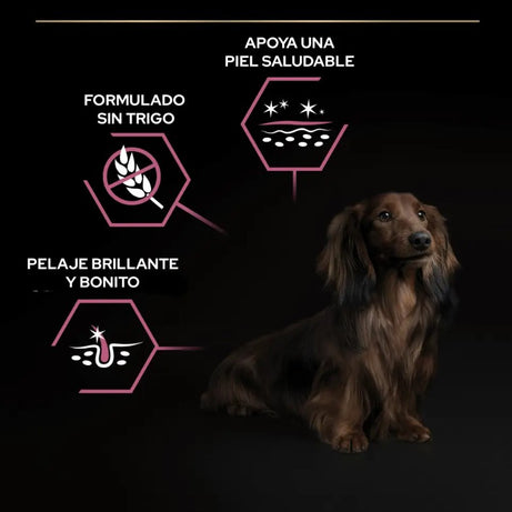 Purina Pro Plan Small & Mini Adult Sensitive Skin - Ração seca para cão adulto pequeno e mini com pele sensível - Salmão