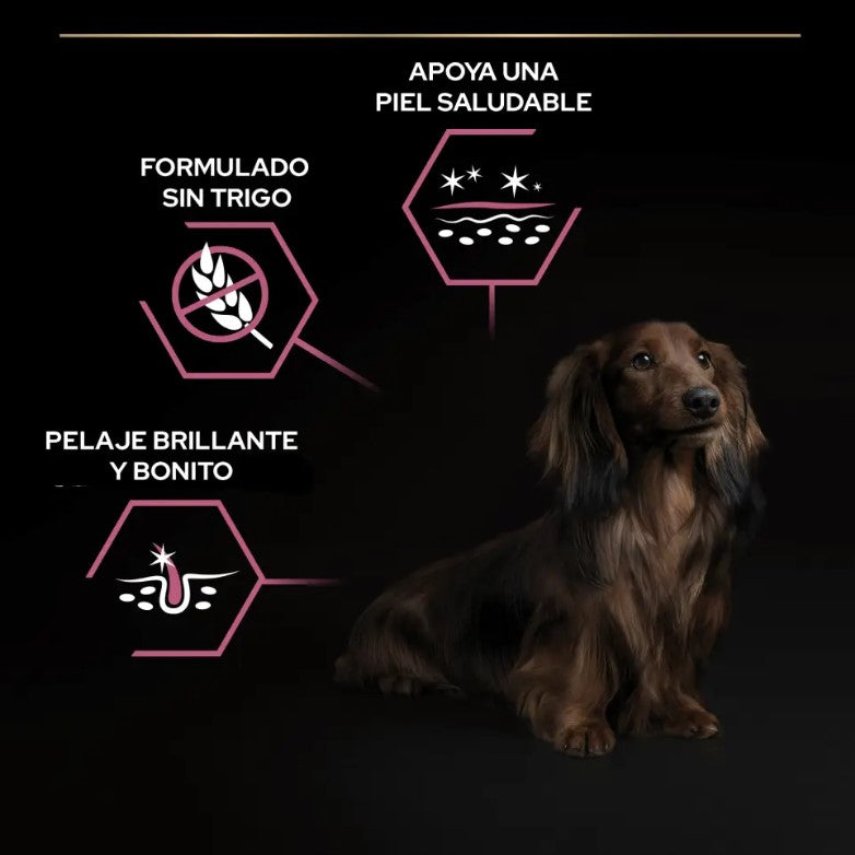 Purina Pro Plan Small & Mini Adult Sensitive Skin - Ração seca para cão adulto pequeno e mini com pele sensível - Salmão