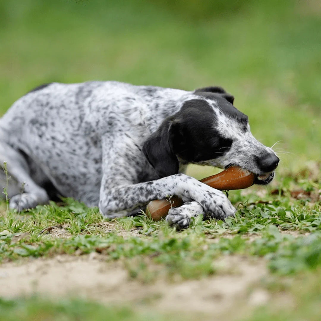 Dog Toy - Rub Bone
