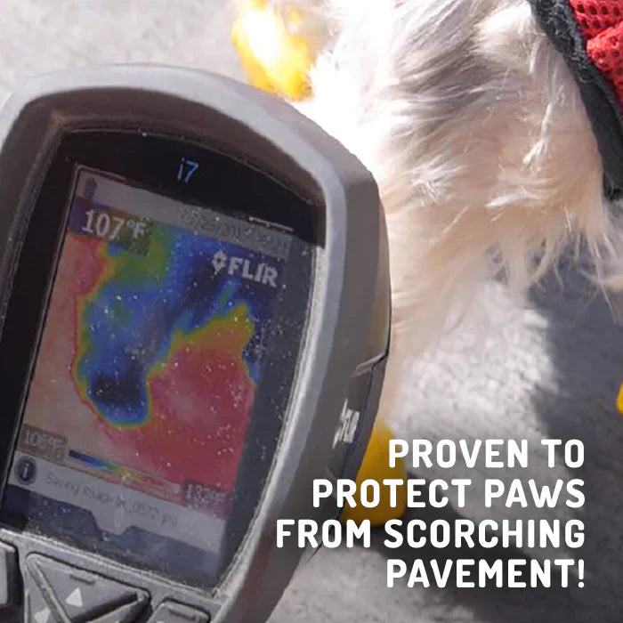 Botas protectoras para perros