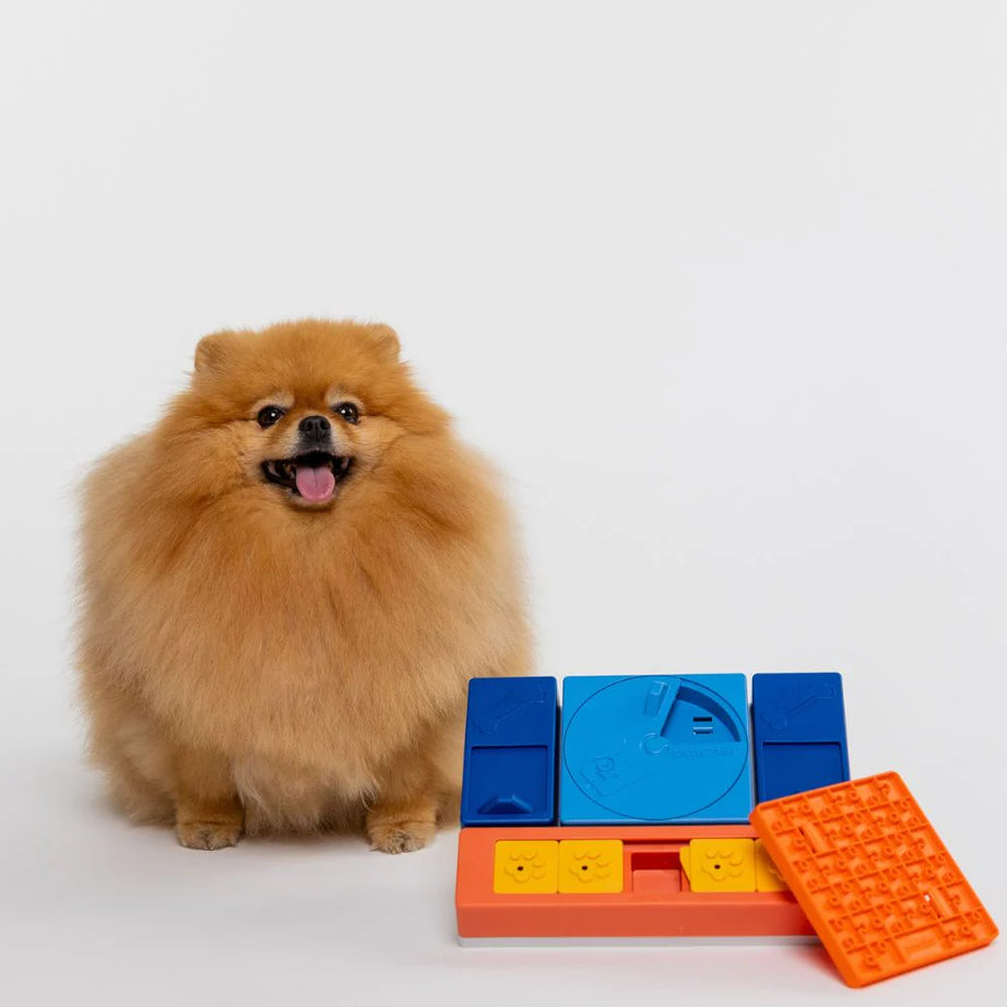 Puzzle Rainbow - PAWZLER