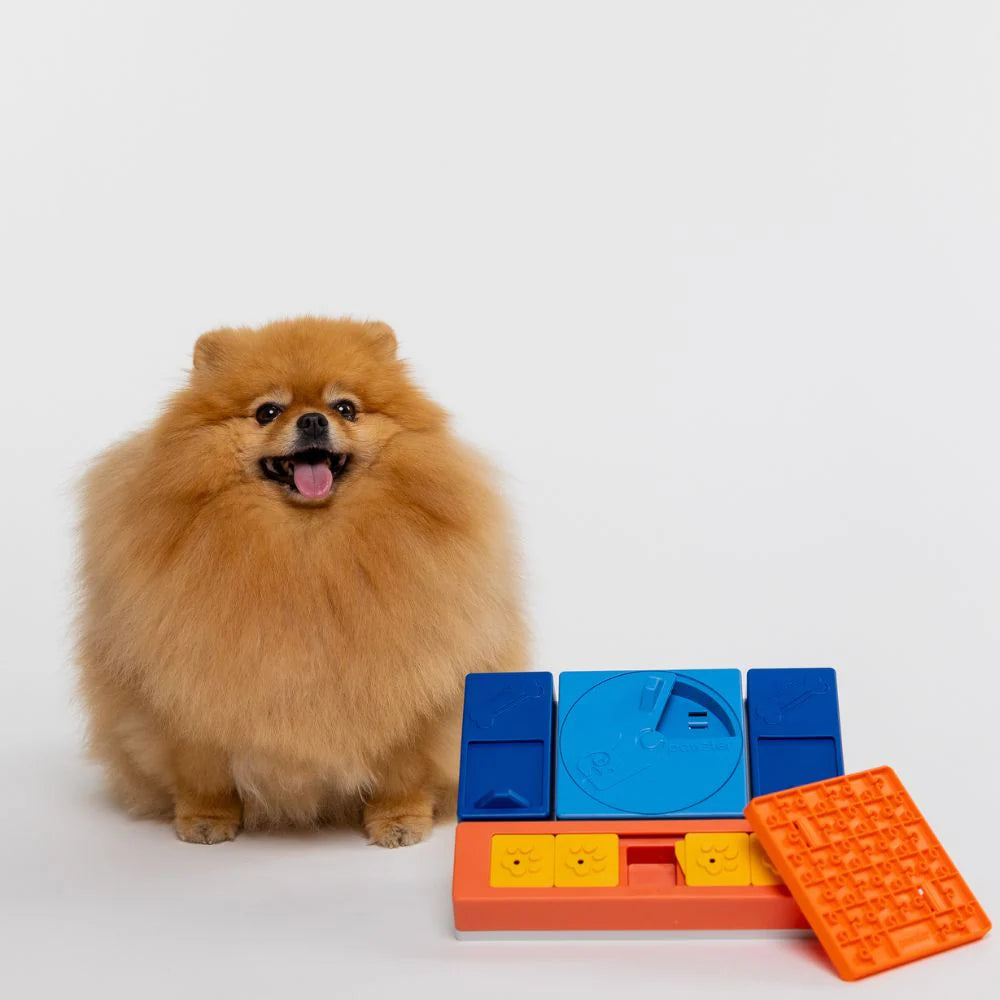 Puzzle Rainbow - PAWZLER