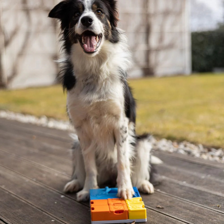 Puzzle Rainbow - PAWZLER