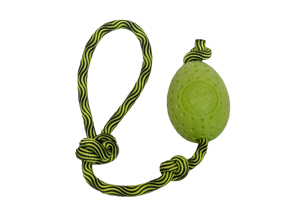 EGG Maxi  Green