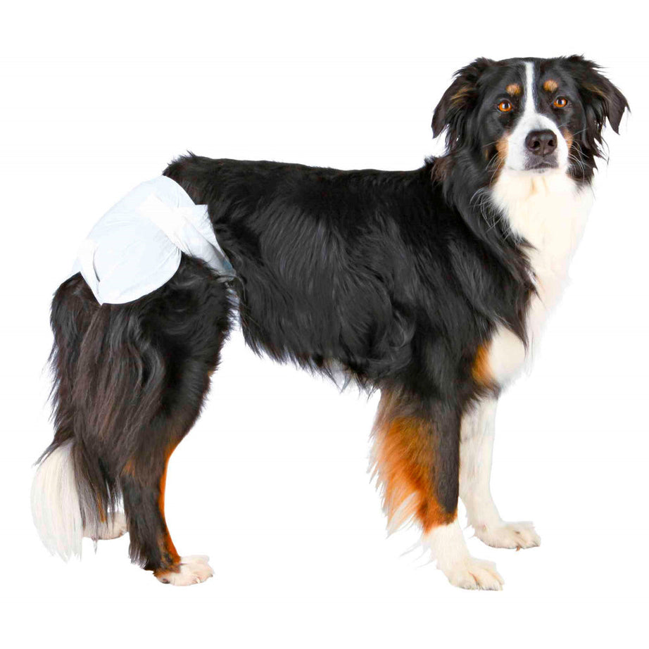 PAÑALES DESECHABLES PARA PERROS | 12 UNIDADES