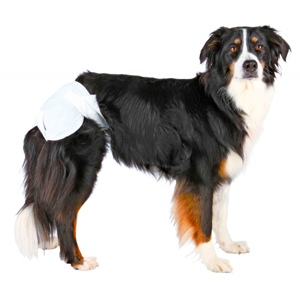 PAÑALES DESECHABLES PARA PERROS | 12 UNIDADES
