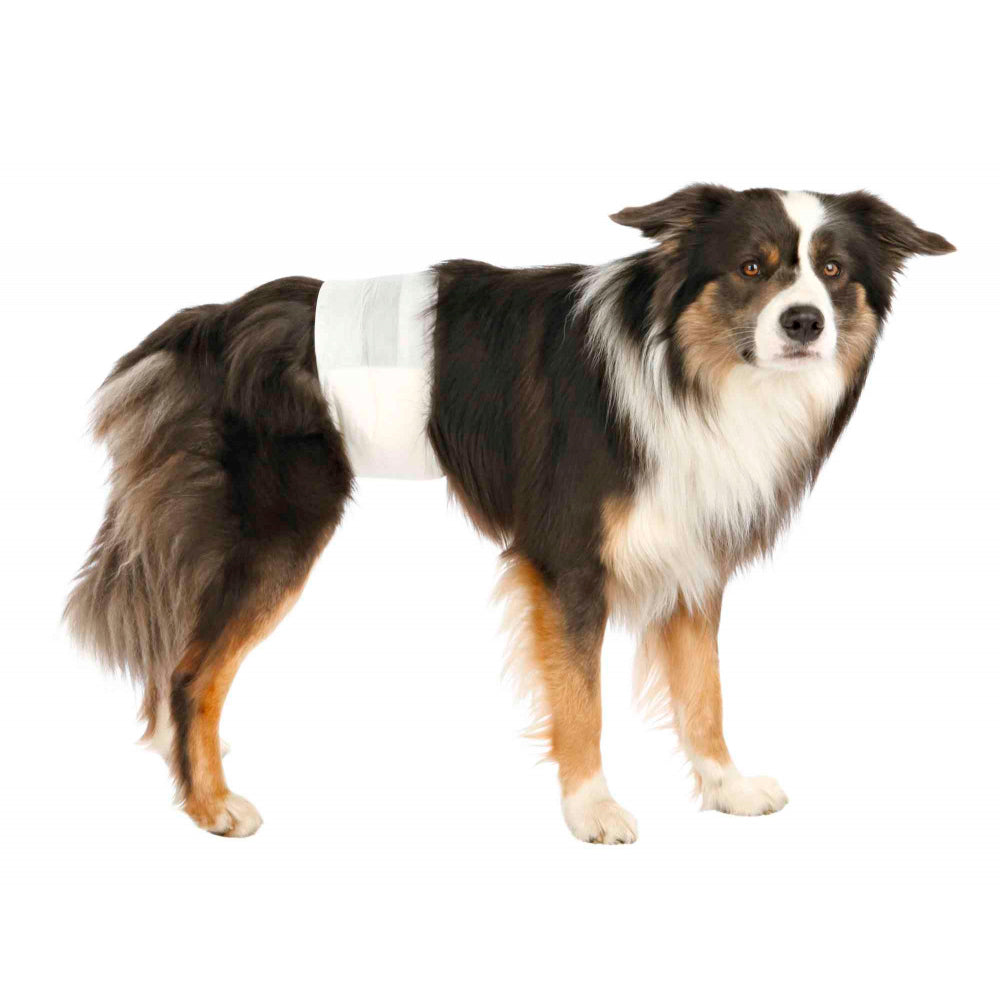 PAÑALES DESECHABLES TRIXIE PARA PERROS MACHOS | 12 UNIDADES