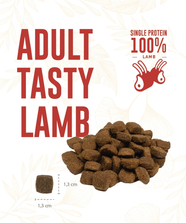 Weego Adult Tasty Lamb – Ração Sem Cereais para Cães Adultos