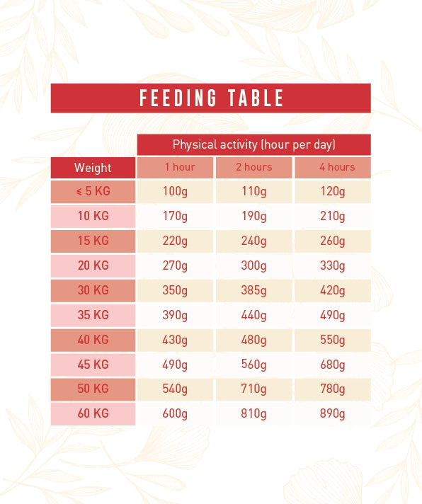 Weego Adult Tasty Lamb – Ração Sem Cereais para Cães Adultos