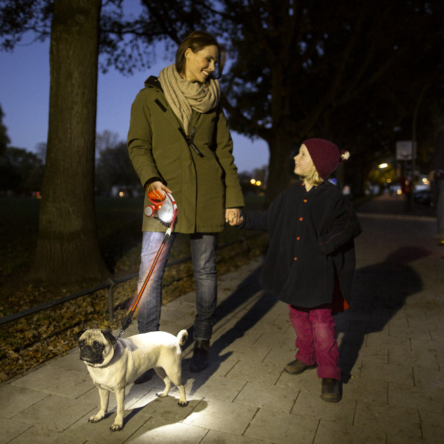 Flexi Sistema de Iluminação Led