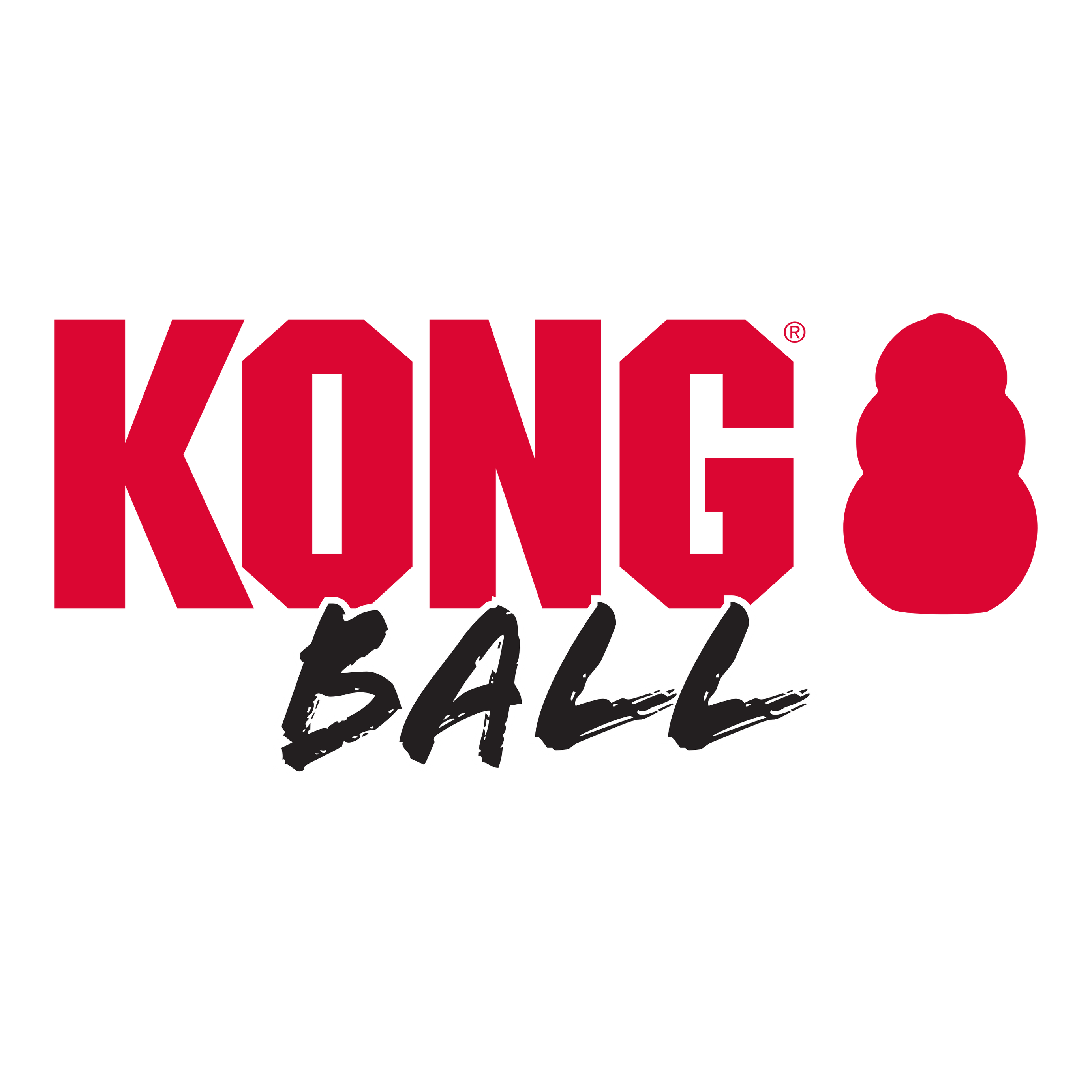 Kong Extreme Ball