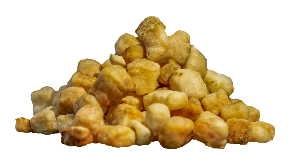 Yaking – Snacks Yak Pop Bites para cães