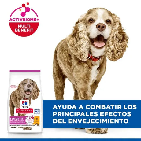 Hills Science Plan Dog Small & Mini Senior 11+ with Chicken | 1.5 kg