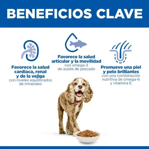 Hills Science Plan Dog Small & Mini Senior 11+ with Chicken | 1.5 kg