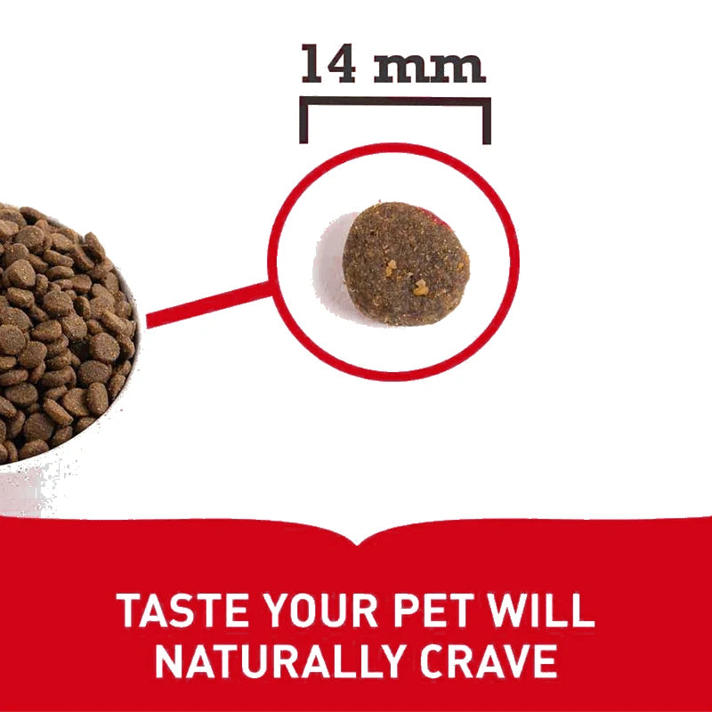 Acana Classics Dog Red