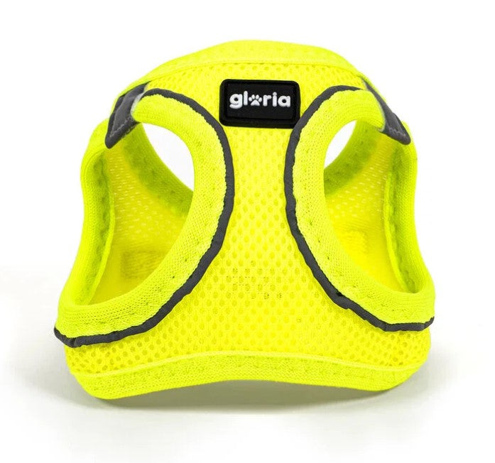 Peitoral GLORIA Trek Star para cão | Amarelo